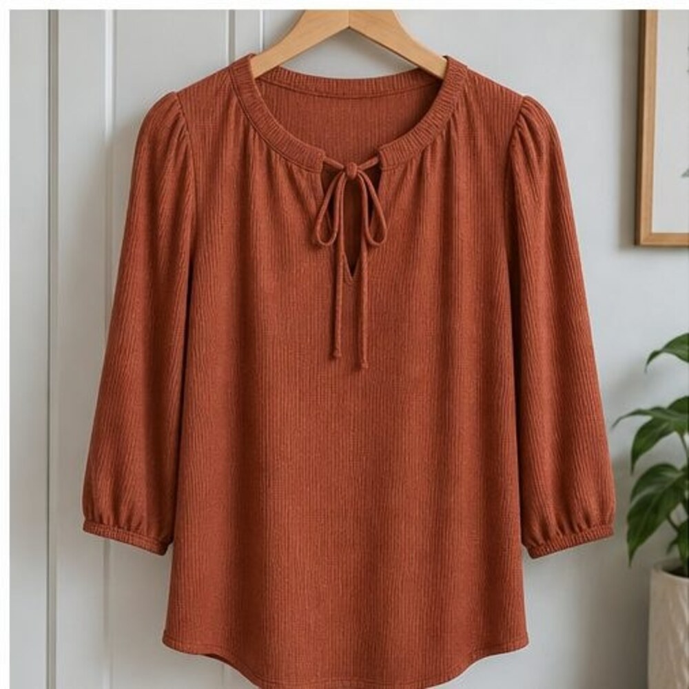 Rust Puff Sleeve Top